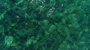 波光粼粼