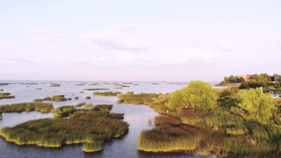 4K 高清 晴空下的沼泽洼地