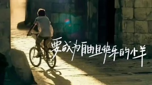 自由快乐的热爱生活