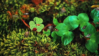 下雨天水中护眼鱼