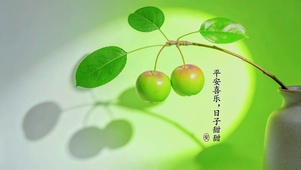 4K护眼治愈平安果