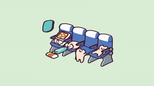 一只猫