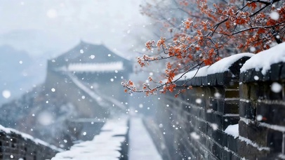 冬天雪景梅花