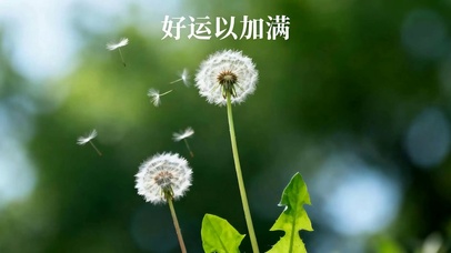 好运加满