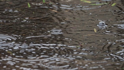 【雨滴专题】淅沥淅沥