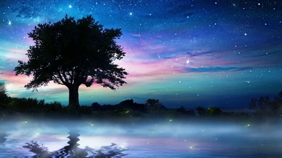 唯美星夜和流星