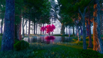 唯美树林间花树