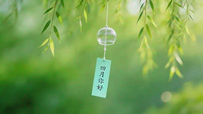 柳树四月你好