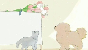 猫狗手绘