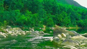 山下绿林流水