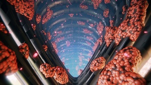 虫卵隧道