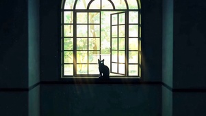 窗边的猫