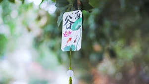 4K春季节气日谷雨传统节气日