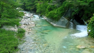 护眼绿林河流