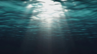 4k超清梦幻海底