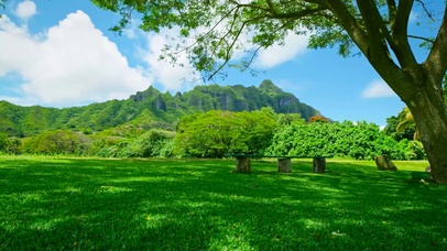 放松护眼高山绿地