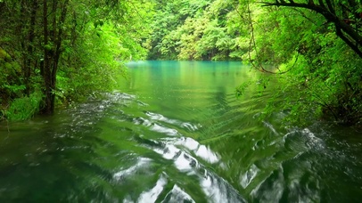 绿水青山
