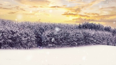 大雪纷飞，落地有声