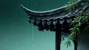 雨天树木