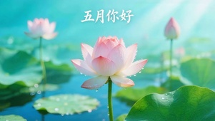 五月你好