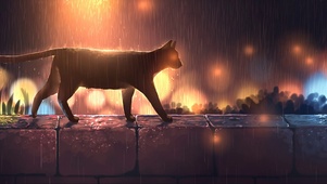 泥泞中前行 猫