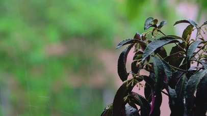 4K夏天午后下雨暴雨