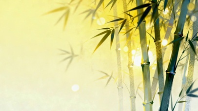 小清新竹林