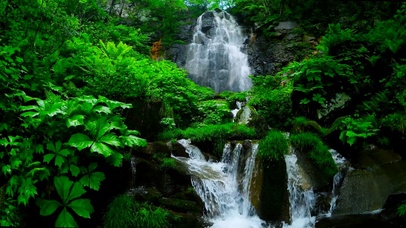 护眼绿林瀑布流水