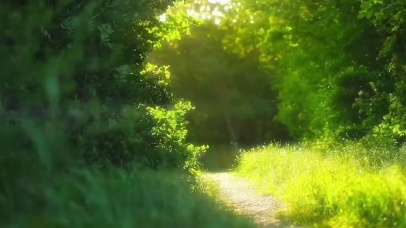 和你通往夏天的尽头