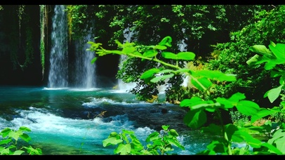 护眼夏日清凉流水 4K