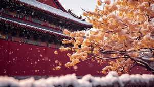 古风雪景