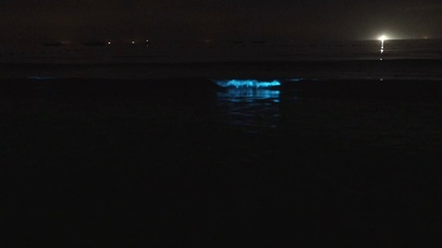 蓝眼泪涠洲岛唯美