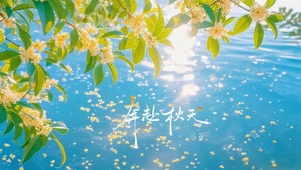 秋天湖面桂花