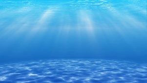 纯净神秘的海底世界