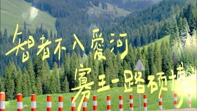 智者不入爱河铁锅只炖大鹅