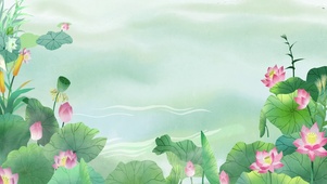 唯美夏季荷花