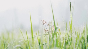 下雨天了怎么办我好想你
