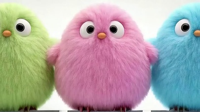 可爱萌宠带鱼屏