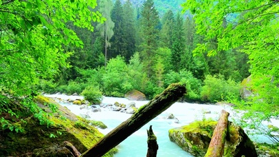 唯美护眼溪流 4K