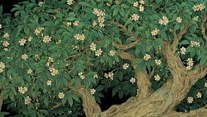 参天大树带鱼屏