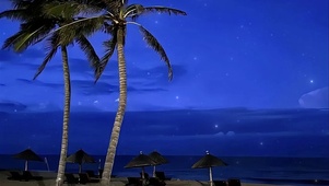 唯美的星空海边椰子树