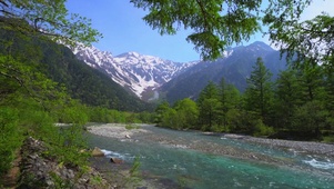 nature山間の森林