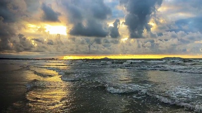 海