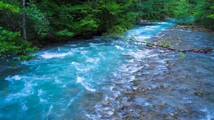 清澈溪流