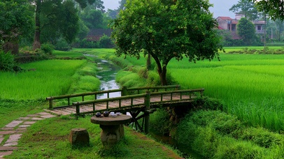 治愈护眼风景壁纸
