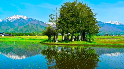 放松养眼乡村田间