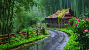 雨中小茅屋