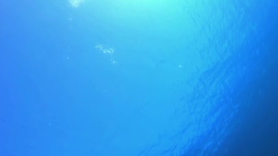 水底