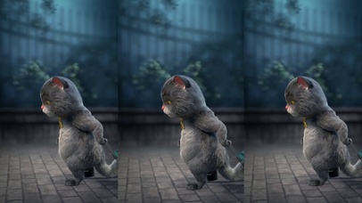 斑布猫-下雨天的温暖拥抱