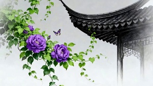护眼小清新